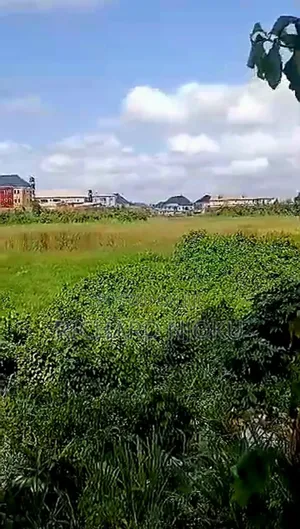Hot Sale! 7 Acres (42 Plots) of Dry Land at Bucknor, Isolo for Sale.