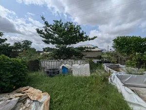 Fish Pond Farm On Half Plot Of Land, Abule Odu Egbeda