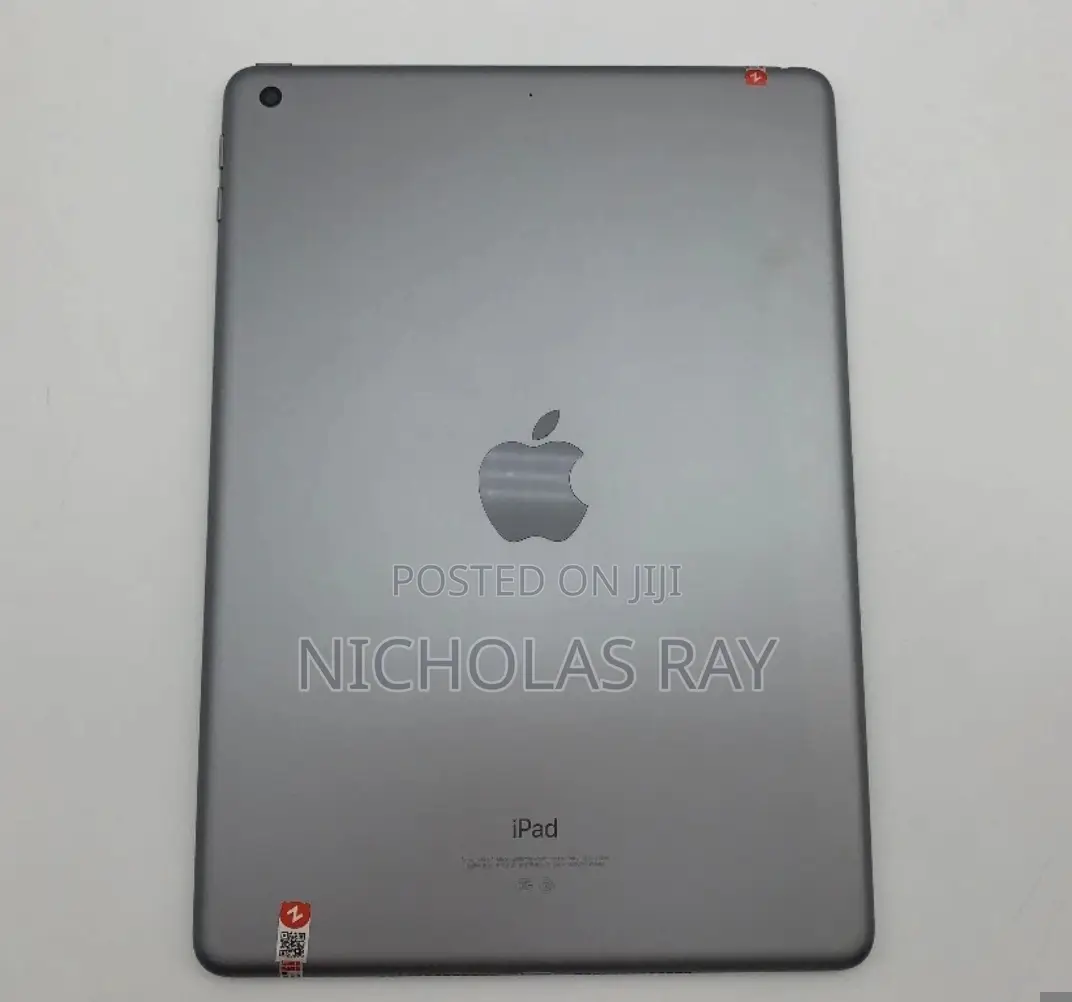 Apple iPad Wi-Fi 256 GB Gray