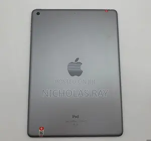 Apple iPad Wi-Fi 256 GB Gray
