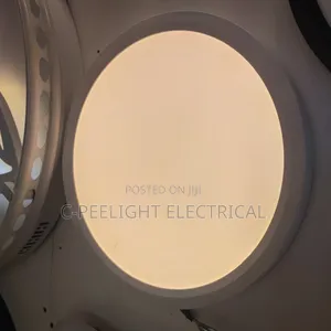 Single Color Ceiling Light