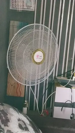 Lg Standing Fan