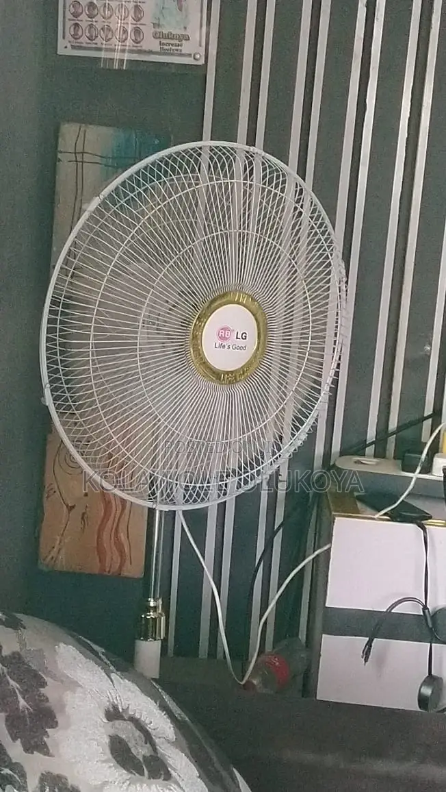 Lg Standing Fan