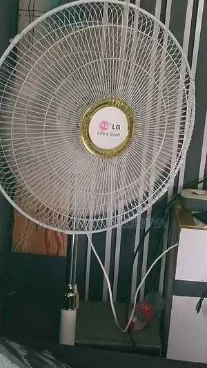 Lg Standing Fan