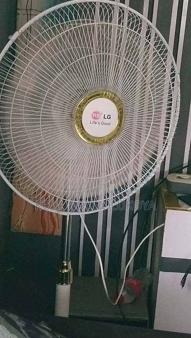 Lg Standing Fan