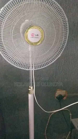 Lg Standing Fan