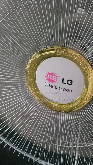 Lg Standing Fan