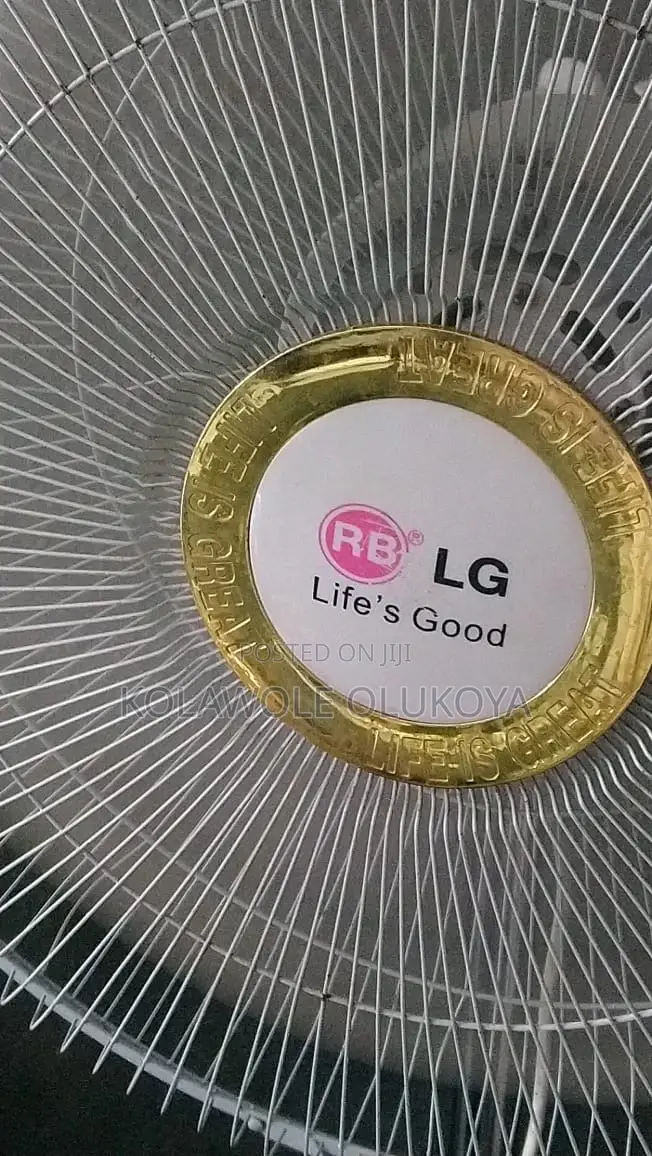 Lg Standing Fan