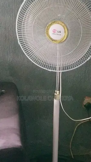 Lg Standing Fan