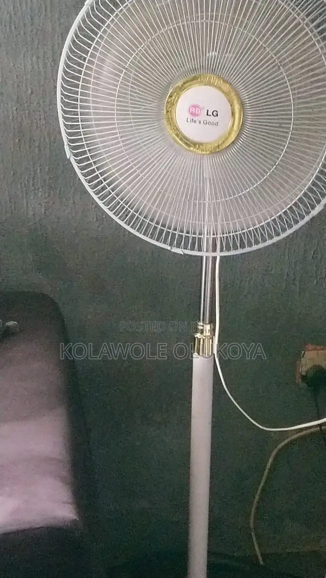 Lg Standing Fan