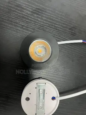 Canltive Light Available