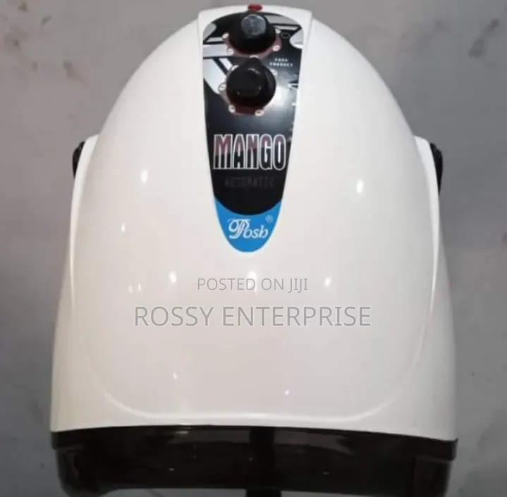 Mango Hair Dryer