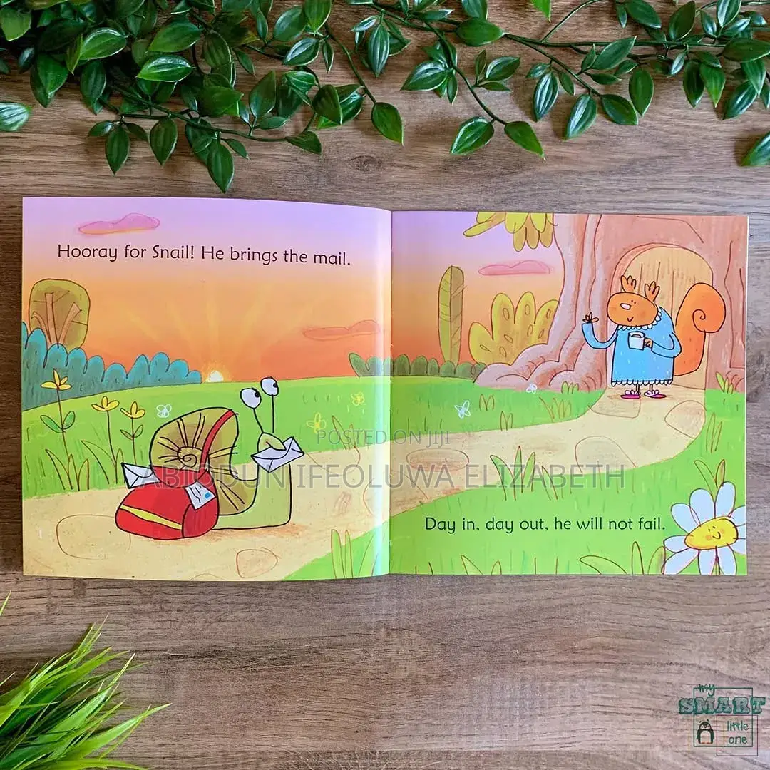 Usborne Phonics Reader