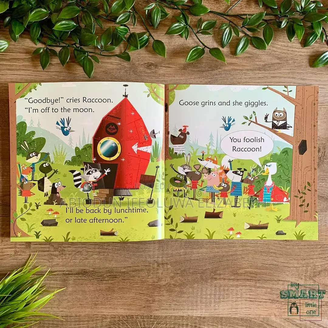 Usborne Phonics Reader
