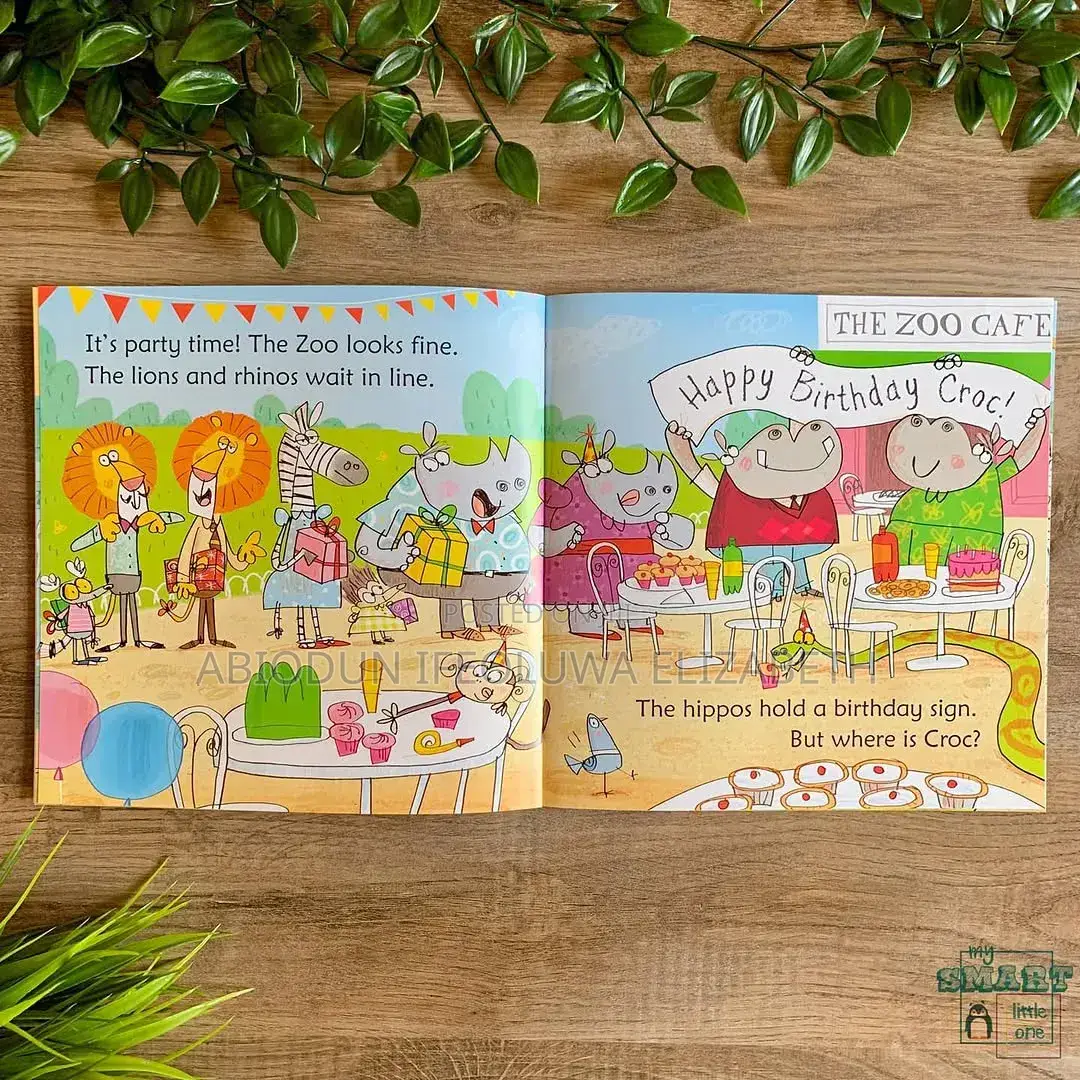 Usborne Phonics Reader