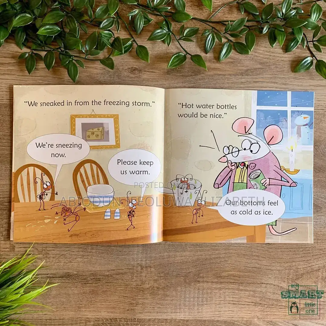 Usborne Phonics Reader