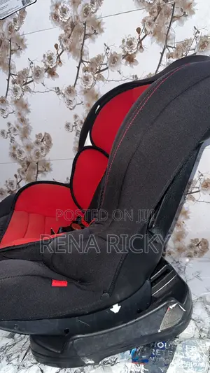 Baby Car Seater