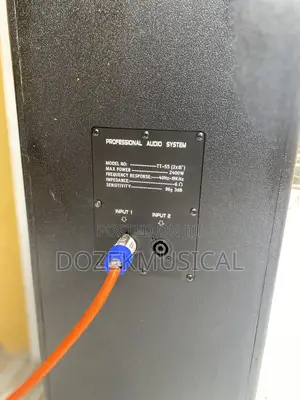 Stage King Tt55 Full Range Speaker