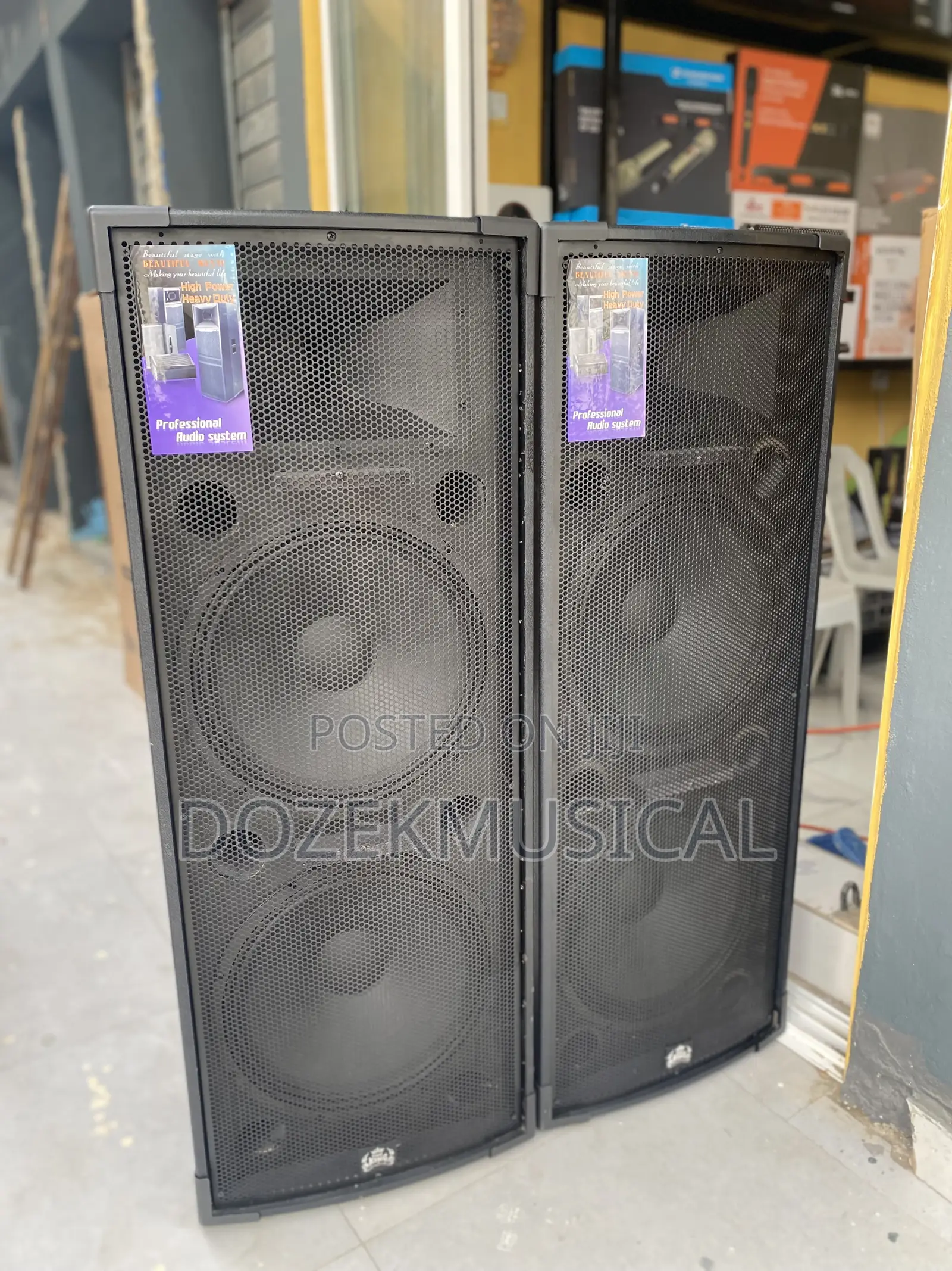 Stage King Tt55 Full Range Speaker