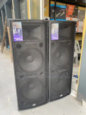 Stage King Tt55 Full Range Speaker