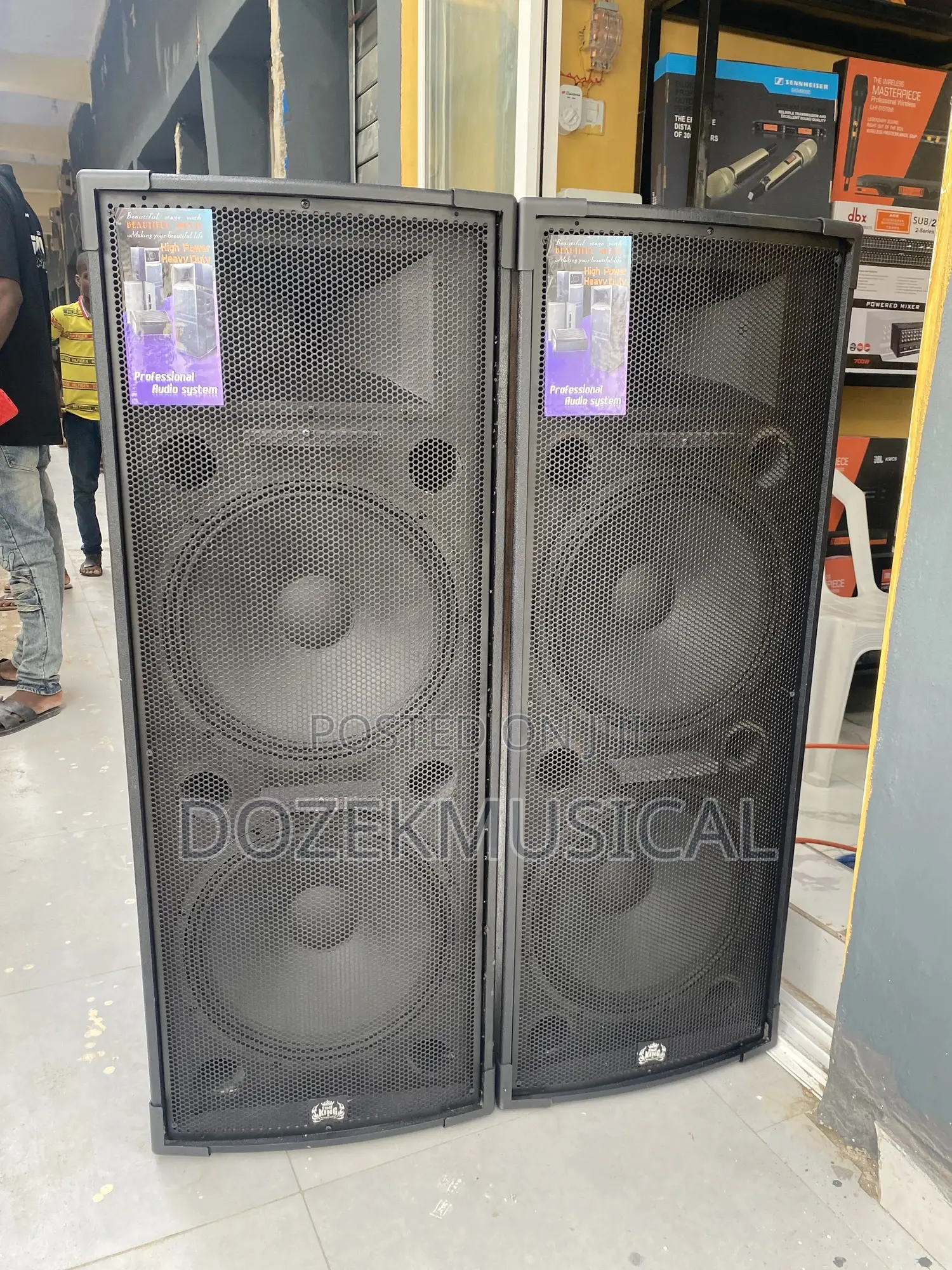 Stage King Tt55 Full Range Speaker