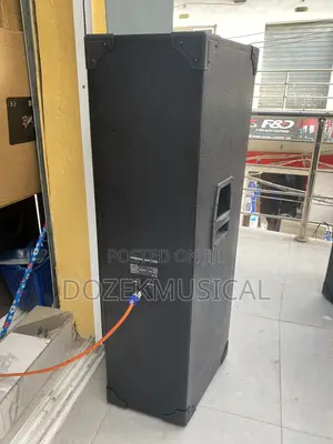 Stage King Tt55 Full Range Speaker