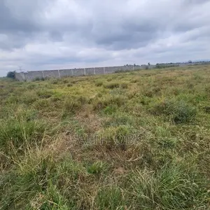 Prime Land for Sale Beside Pan-Atlantic University, Ibeju-Lekki
