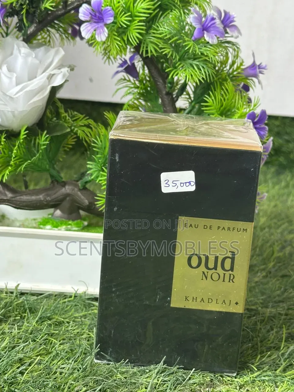 Oud Noir Perfumes.