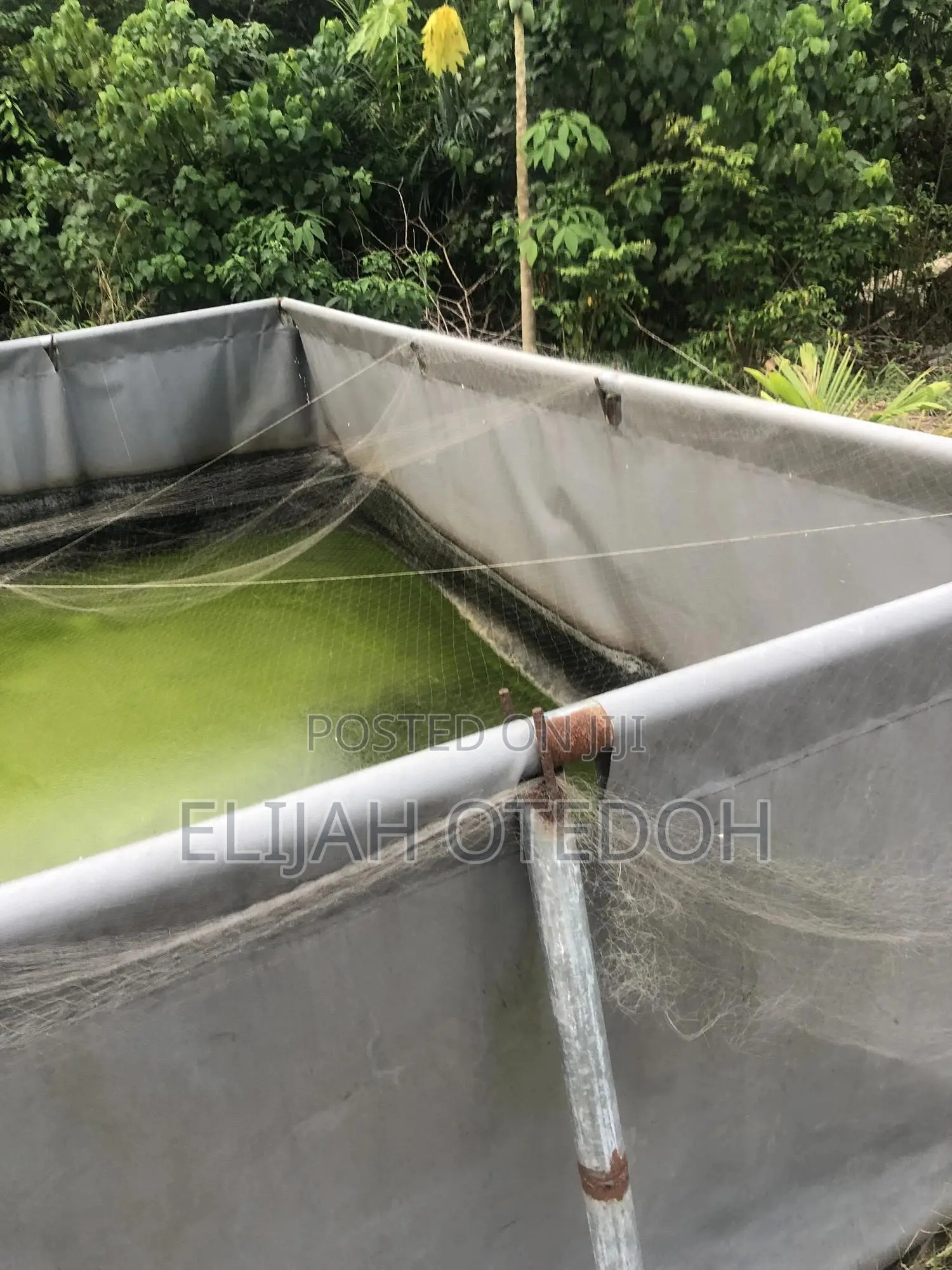 Tarpaulin Fish Pond
