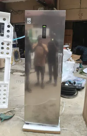 Lg Standing Freezer 324l (Gc-B414elfm)