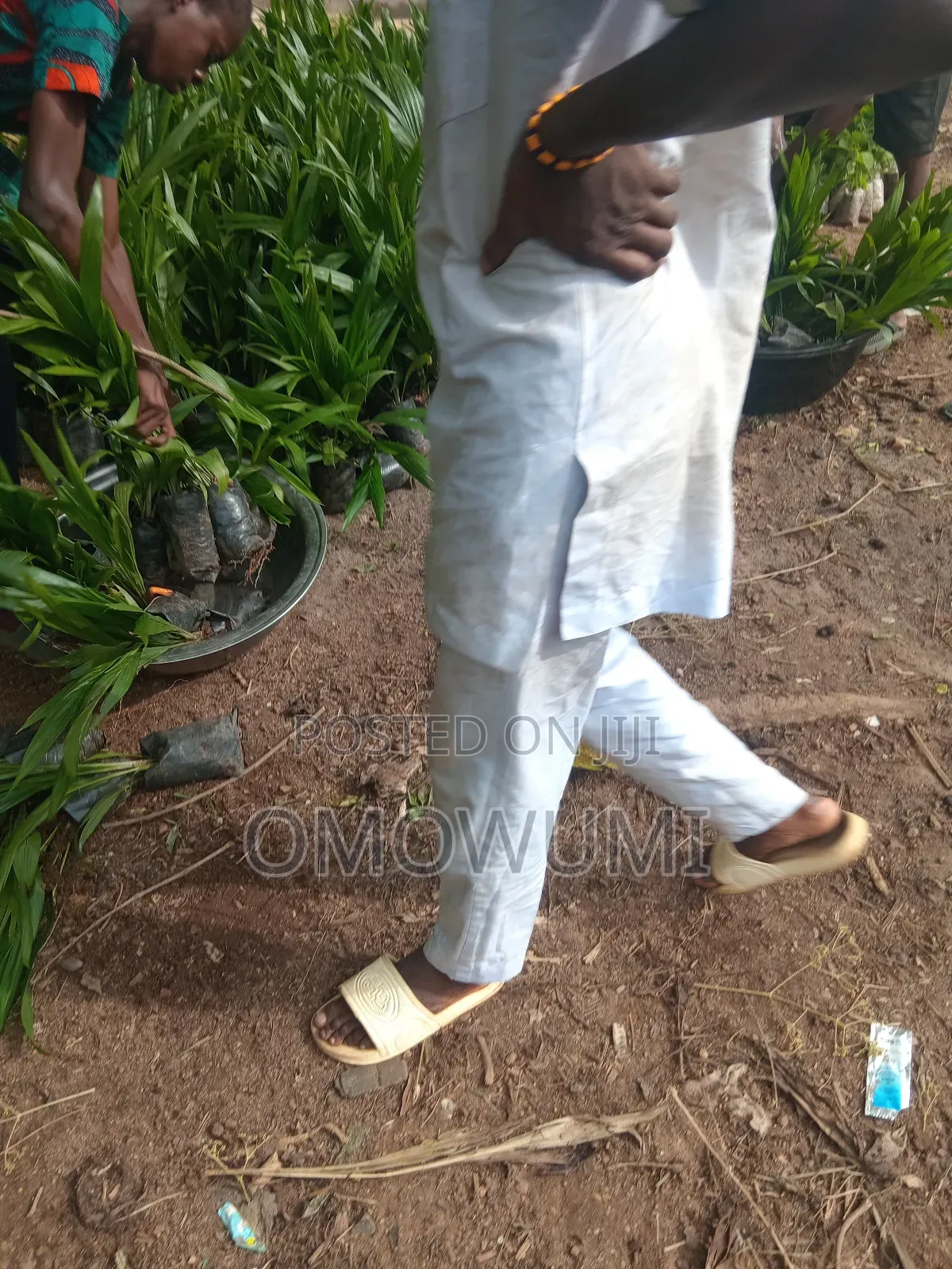 Farmer Favour