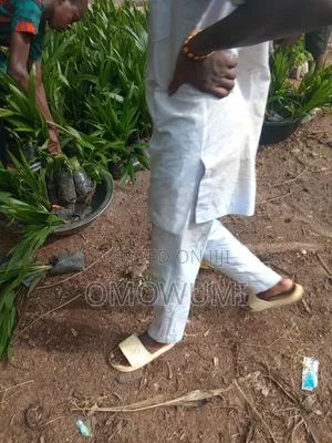 Farmer Favour
