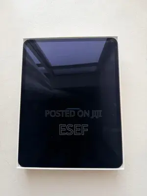 Apple iPad Pro 13 (2024) 256 GB Gray