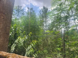 Fenced and Gated 4 Plot of Land at Akingbile Oluana Moniya Iita Road