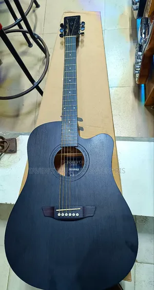 Strinberg Electro Acoustic Guitar