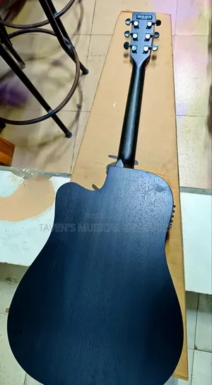 Strinberg Electro Acoustic Guitar
