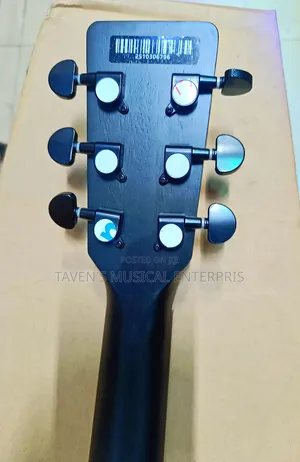 Strinberg Electro Acoustic Guitar