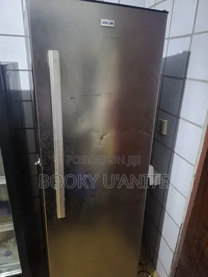 A Braum Standing Freezer With 9 Shelves, in Perfect Working Condition