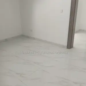 Professional Cleaning Service.