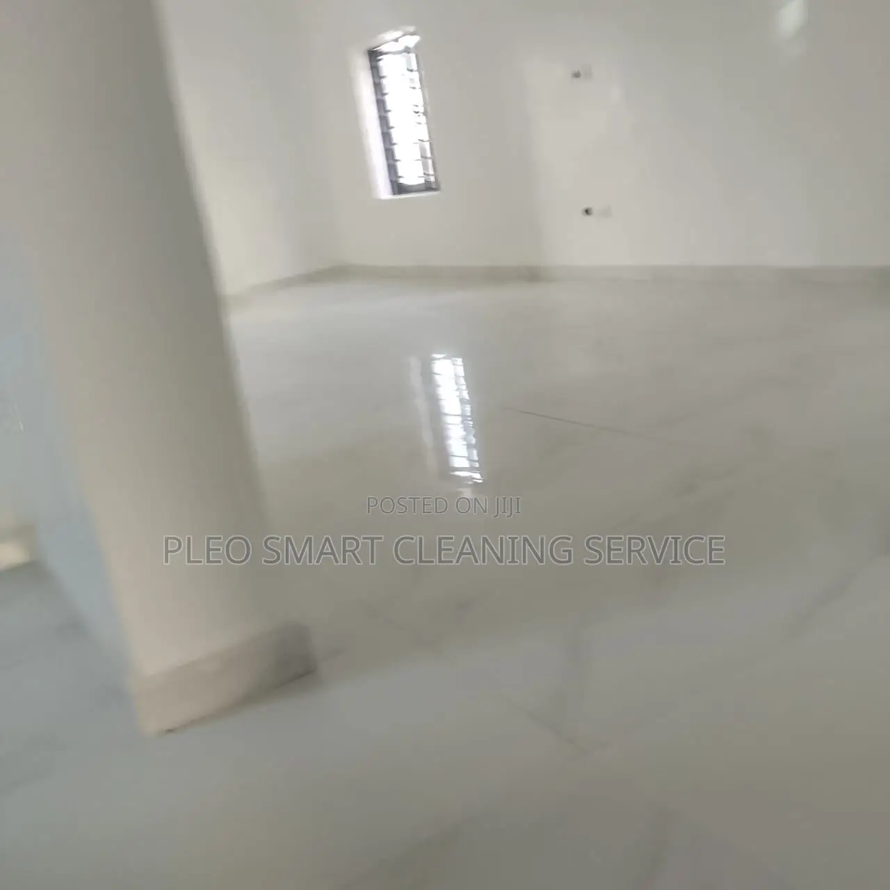 Professional Cleaning Service.