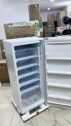 Lg Freezer 168l Gn-304sqbr – Modern Double Door Freezer Unit