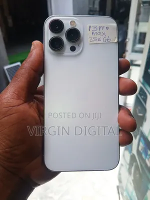 Apple iPhone 13 Pro Max 256 GB Silver