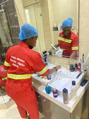 SNS Cleaning Services