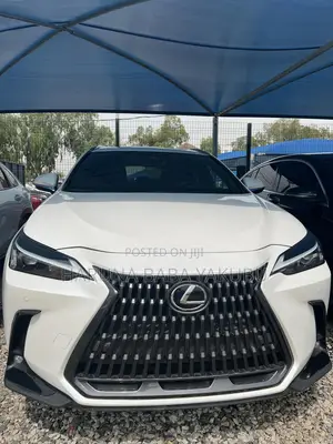 Lexus NX 250 2024 White