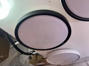 Ceiling Light Motion Sensor White Light