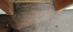 Quality Vip Brown Rug