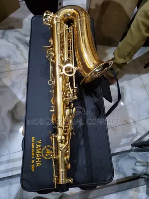 Alto Saxophone