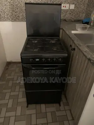 Neatly Use Gas Cooker, Oven Bake