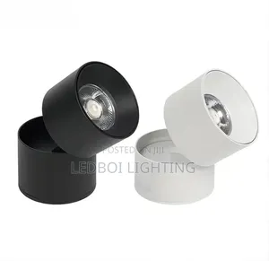 Adjustable Cantilever Down Light