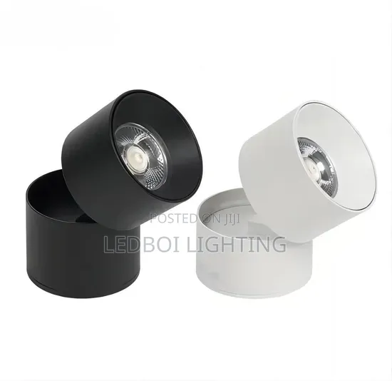 Adjustable Cantilever Down Light